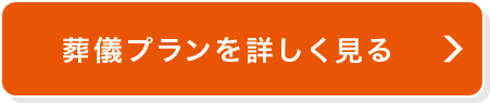 ���V�v�������ڂ�������